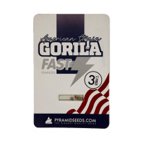 Paquete de semillas de marihuana Gorila Fast — comprar semillas de floración rápida de Pyramid Seeds