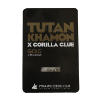 Tutankhamon x Gorilla Glue