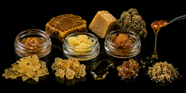 Cannabis Extraction: Best Strains & Methods for Maximum Yield